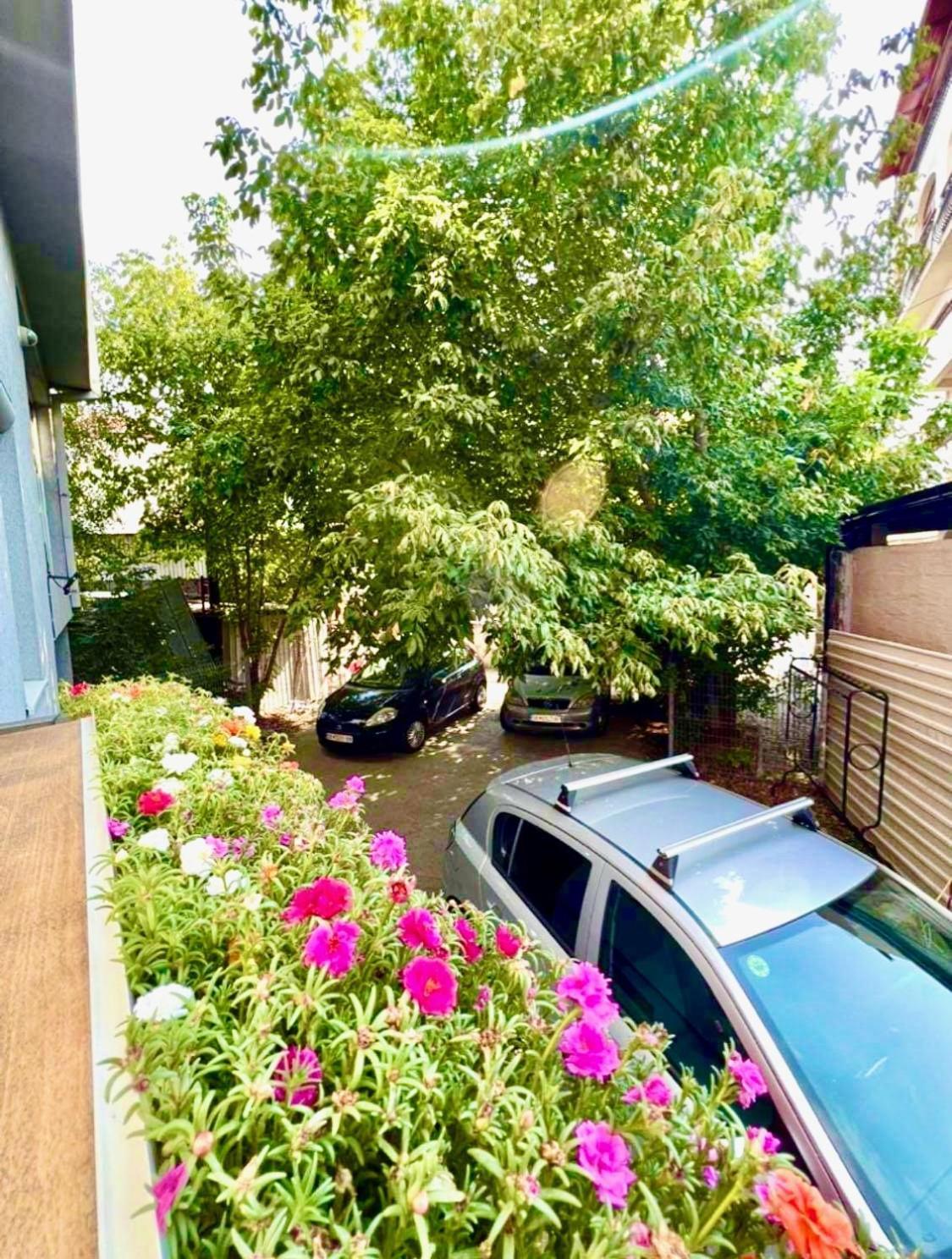 Lifestyle Gallery Apartment Skopje Exterior foto